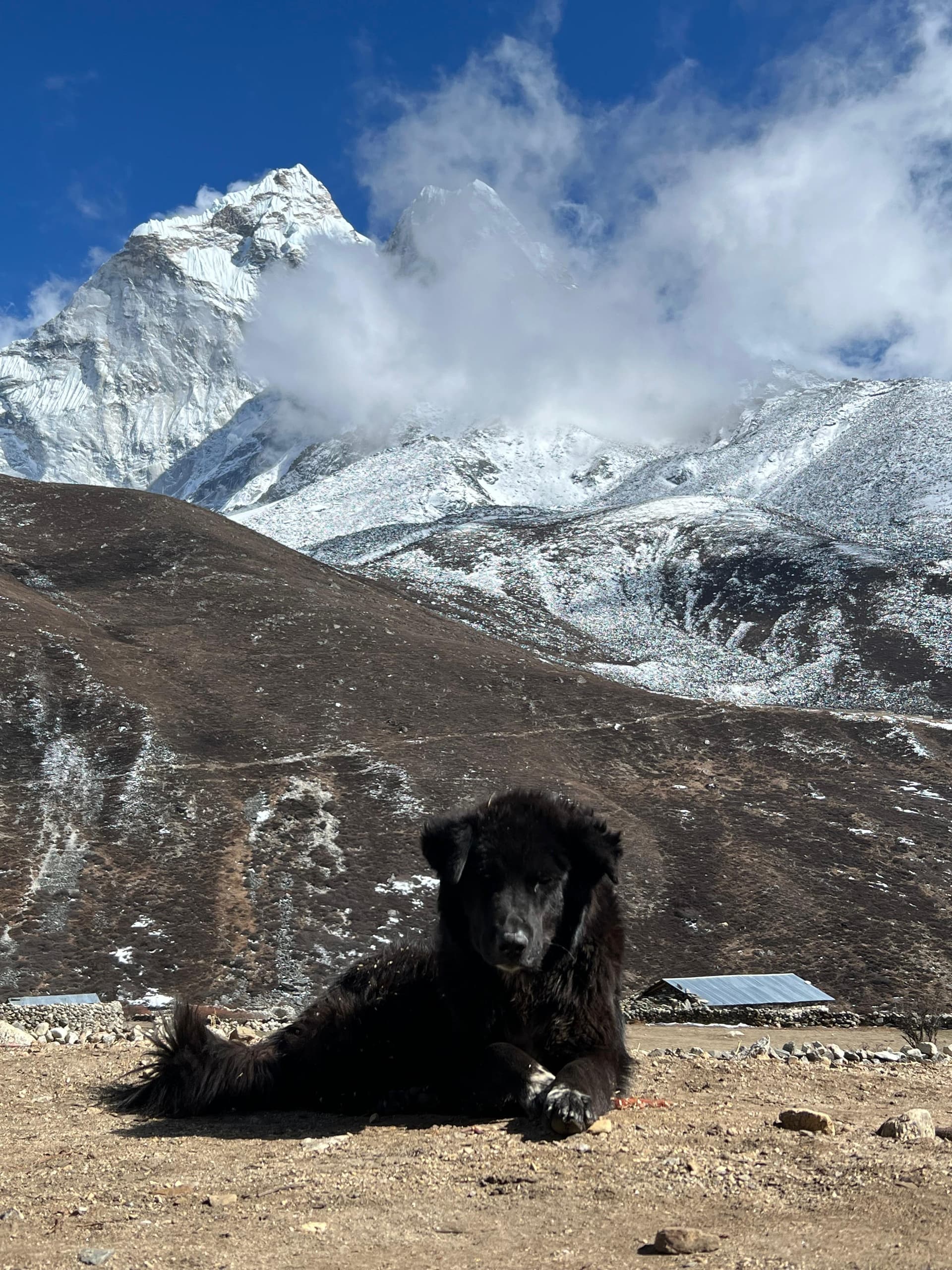 Guest moment at Dingboche Inn